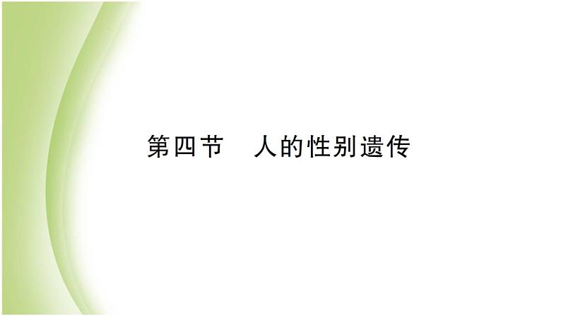 八年级生物下册第七单元生物圈中生命的延续和发展第二章生物的遗传和变异第四节人的性别遗传作业课件新人教版01