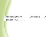 八年级生物下册第七单元生物圈中生命的延续和发展第二章生物的遗传和变异第四节人的性别遗传作业课件新人教版