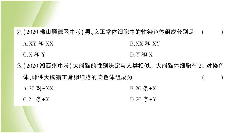 八年级生物下册第七单元生物圈中生命的延续和发展第二章生物的遗传和变异第四节人的性别遗传作业课件新人教版06