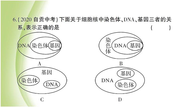 八年级生物下册第七单元生物圈中生命的延续和发展第二章生物的遗传和变异检测卷作业课件新人教版06