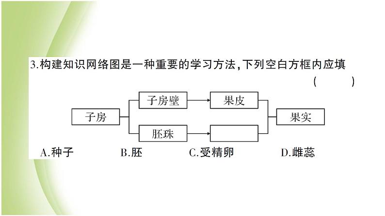 八年级生物下册第七单元生物圈中生命的延续和发展第一章生物的生殖和发育检测卷作业课件新人教版第3页