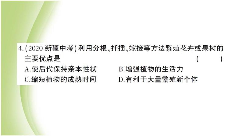 八年级生物下册第七单元生物圈中生命的延续和发展第一章生物的生殖和发育检测卷作业课件新人教版第4页