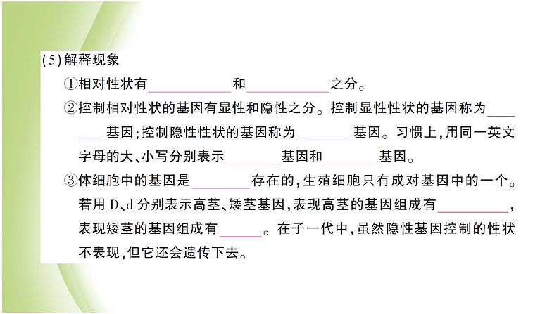 八年级生物下册第七单元生物圈中生命的延续和发展第二章生物的遗传和变异第三节基因的显性和隐性作业课件新人教版03