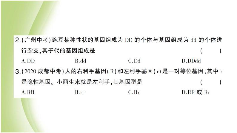 八年级生物下册第七单元生物圈中生命的延续和发展第二章生物的遗传和变异第三节基因的显性和隐性作业课件新人教版06