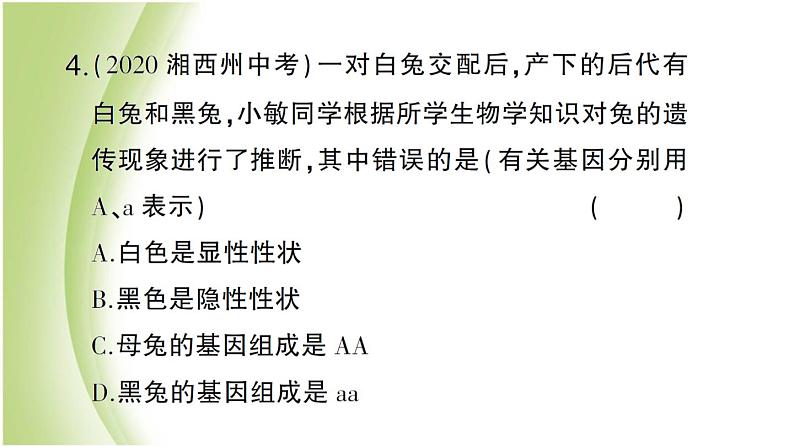 八年级生物下册第七单元生物圈中生命的延续和发展第二章生物的遗传和变异第三节基因的显性和隐性作业课件新人教版07