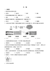 精品解析：广西百色市2019年中考生物试题(解析版+原卷版)