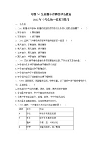 专题04 生物圈中有哪些绿色植物（练习）-2022年中考生物一轮复习讲练测1