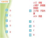 七年级生物下册第四单元生物圈中的人第一章人的由来第二节人的生殖作业课件新人教版