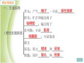 七年级生物下册第四单元生物圈中的人第一章人的由来第二节人的生殖作业课件新人教版
