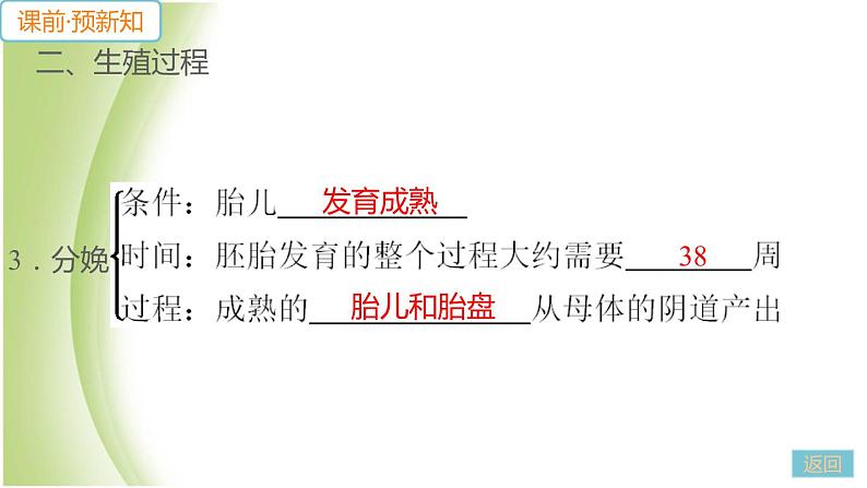 七年级生物下册第四单元生物圈中的人第一章人的由来第二节人的生殖作业课件新人教版第8页