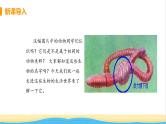 八年级生物上册第五单元生物圈中的其他生物第一章动物的主要类群第二节线形动物和环节动物教学课件新人教版