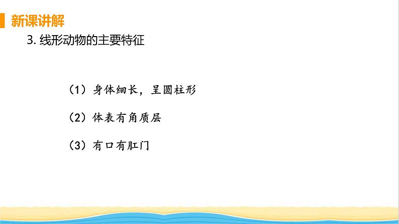 八年级生物上册第五单元生物圈中的其他生物第一章动物的主要类群第二节线形动物和环节动物教学课件新人教版第8页