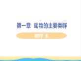八年级生物上册第五单元生物圈中的其他生物第一章动物的主要类群第四节鱼教学课件新人教版