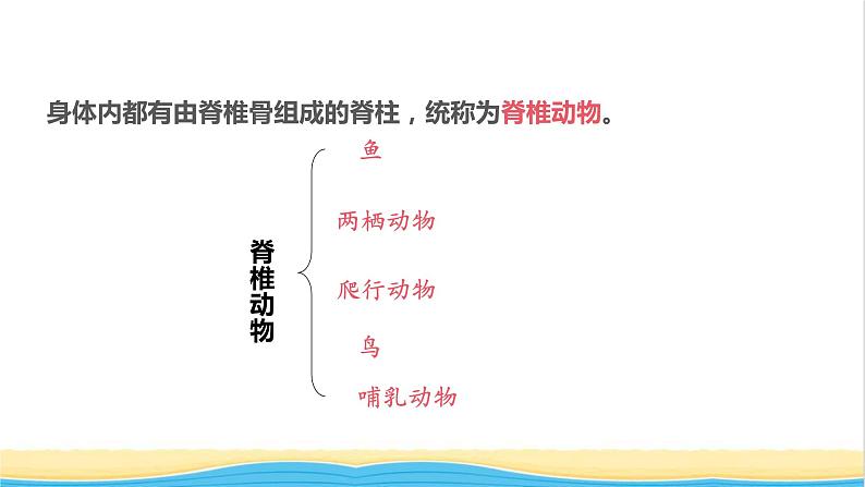 八年级生物上册第五单元生物圈中的其他生物第一章动物的主要类群第四节鱼教学课件新人教版07