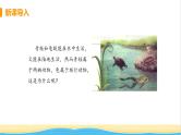 八年级生物上册第五单元生物圈中的其他生物第一章动物的主要类群第五节两栖动物和爬行动物教学课件新人教版