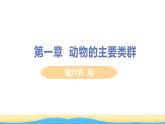 八年级生物上册第五单元生物圈中的其他生物第一章动物的主要类群第六节鸟教学课件新人教版