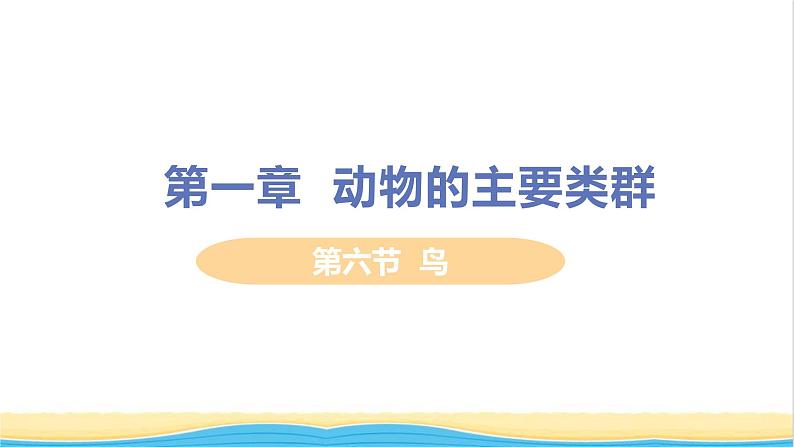 八年级生物上册第五单元生物圈中的其他生物第一章动物的主要类群第六节鸟教学课件新人教版01