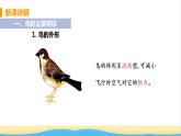 八年级生物上册第五单元生物圈中的其他生物第一章动物的主要类群第六节鸟教学课件新人教版