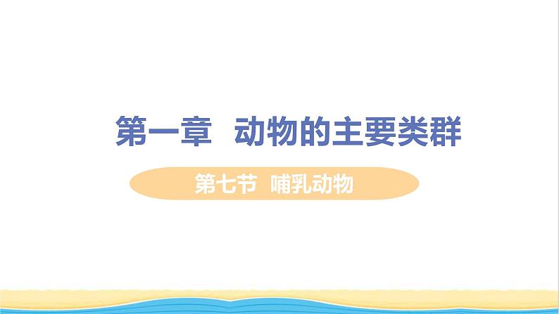 八年级生物上册第五单元生物圈中的其他生物第一章动物的主要类群第七节哺乳动物教学课件新人教版01