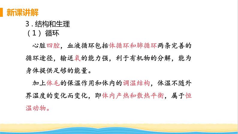 八年级生物上册第五单元生物圈中的其他生物第一章动物的主要类群第七节哺乳动物教学课件新人教版07