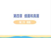 八年级生物上册第五单元生物圈中的其他生物第四章细菌和真菌第二节细菌教学课件新人教版