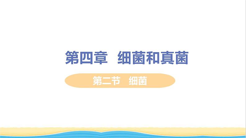 八年级生物上册第五单元生物圈中的其他生物第四章细菌和真菌第二节细菌教学课件新人教版01