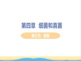 八年级生物上册第五单元生物圈中的其他生物第四章细菌和真菌第三节真菌教学课件新人教版