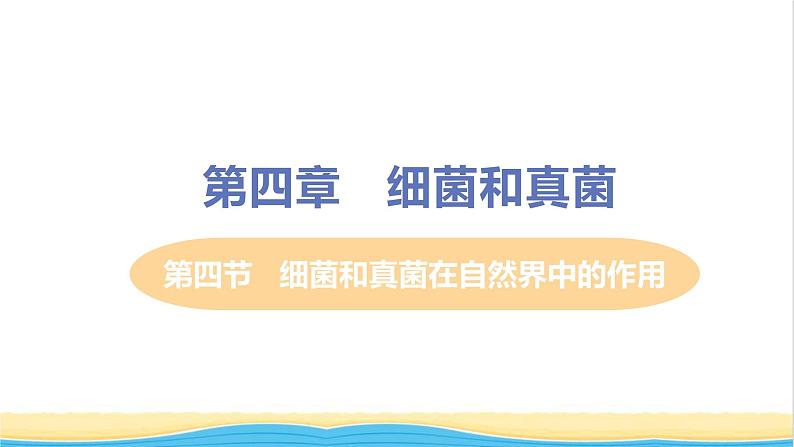 八年级生物上册第五单元生物圈中的其他生物第四章细菌和真菌第四节细菌和真菌在自然界中的作用教学课件新人教版01