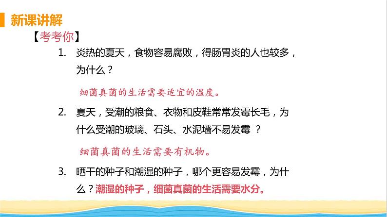 八年级生物上册第五单元生物圈中的其他生物第四章细菌和真菌第四节细菌和真菌在自然界中的作用教学课件新人教版07