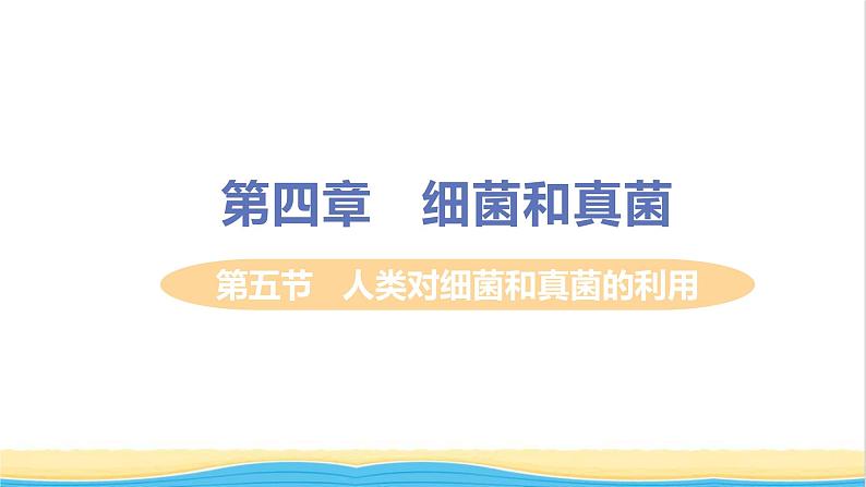 八年级生物上册第五单元生物圈中的其他生物第四章细菌和真菌第五节人类对细菌和真菌的利用教学课件新人教版01