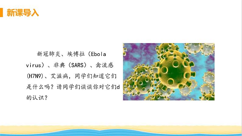 八年级生物上册第五单元生物圈中的其他生物第五章病毒教学课件新人教版04