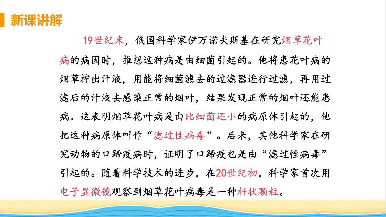 八年级生物上册第五单元生物圈中的其他生物第五章病毒教学课件新人教版05