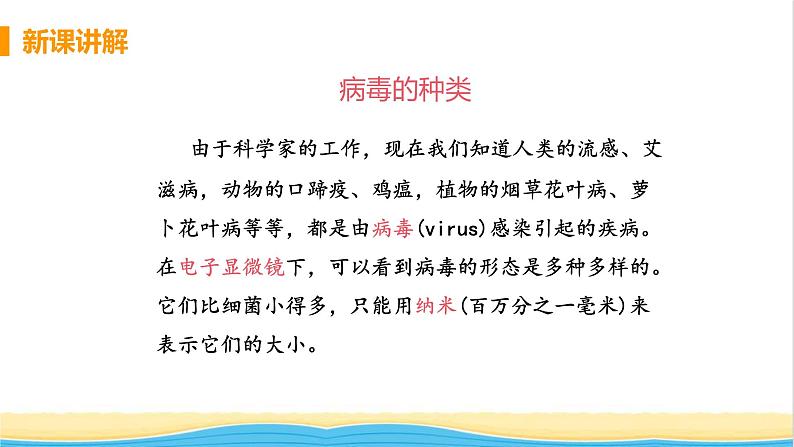 八年级生物上册第五单元生物圈中的其他生物第五章病毒教学课件新人教版07