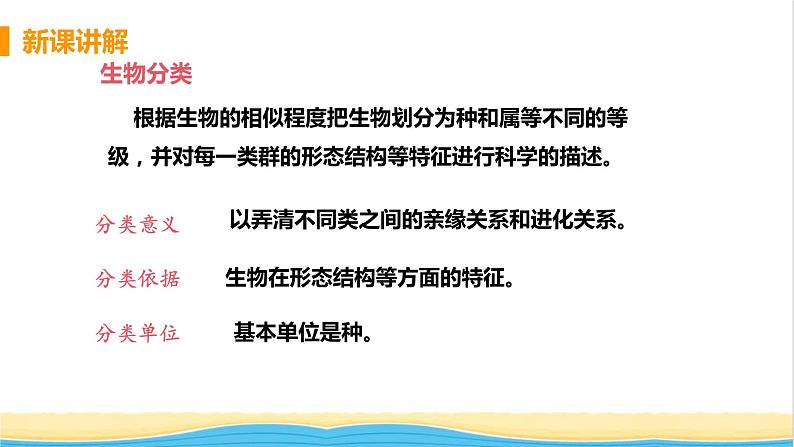 八年级生物上册第六单元生物的多样性及其保护第一章根据生物的特征进行分类第一节尝试对生物进行分类教学课件新人教版第5页