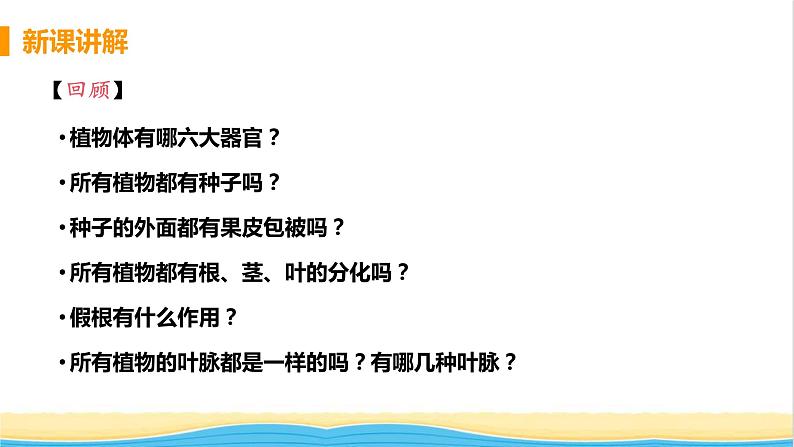 八年级生物上册第六单元生物的多样性及其保护第一章根据生物的特征进行分类第一节尝试对生物进行分类教学课件新人教版第6页