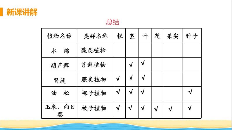 八年级生物上册第六单元生物的多样性及其保护第一章根据生物的特征进行分类第一节尝试对生物进行分类教学课件新人教版第7页