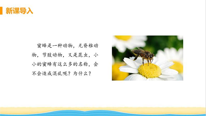 八年级生物上册第六单元生物的多样性及其保护第一章根据生物的特征进行分类第二节从种到界教学课件新人教版第4页