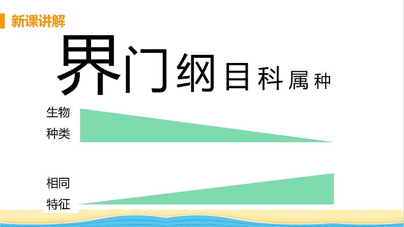 八年级生物上册第六单元生物的多样性及其保护第一章根据生物的特征进行分类第二节从种到界教学课件新人教版第6页