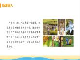 八年級生物上冊第六單元生物的多樣性及其保護第二章認識生物的多樣性教學課件新人教版
