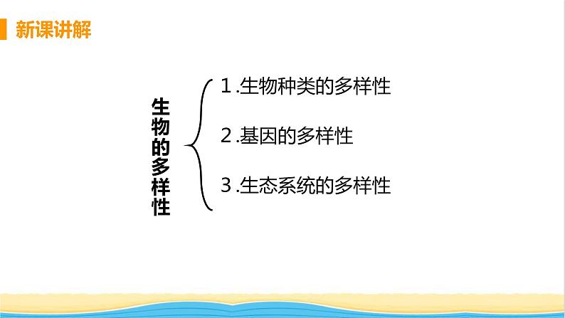 八年级生物上册第六单元生物的多样性及其保护第二章认识生物的多样性教学课件新人教版06