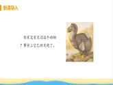 八年级生物上册第六单元生物的多样性及其保护第三章保护生物的多样性教学课件新人教版