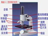 专题02 细胞是生命活动的基本单位（课件）-2022年中考生物一轮复习讲练测