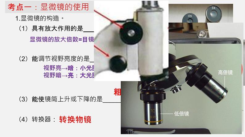 专题02 细胞是生命活动的基本单位（课件）-2022年中考生物一轮复习讲练测第4页