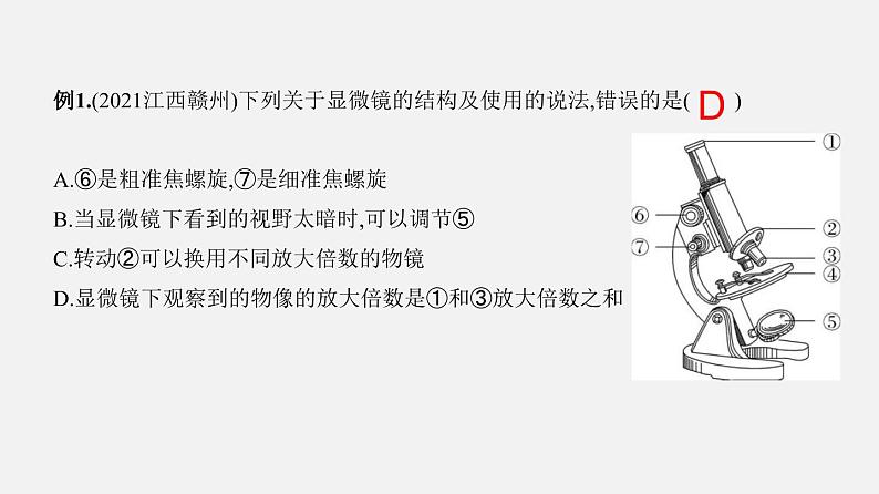 专题02 细胞是生命活动的基本单位（课件）-2022年中考生物一轮复习讲练测第6页