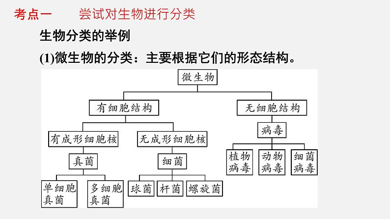 专题18 生物的多样性（课件）-2022年中考生物一轮复习讲练测第4页