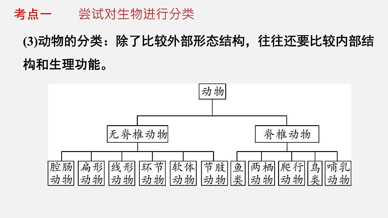 专题18 生物的多样性（课件）-2022年中考生物一轮复习讲练测第6页