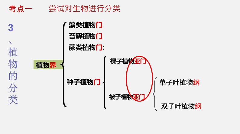 专题18 生物的多样性（课件）-2022年中考生物一轮复习讲练测第8页