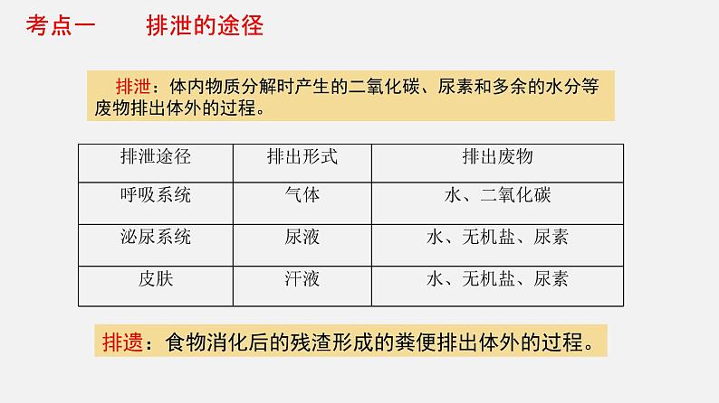 专题13 人体内废物的排出（课件）-2022年中考生物一轮复习讲练测03