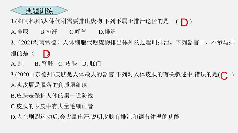 专题13 人体内废物的排出（课件）-2022年中考生物一轮复习讲练测04