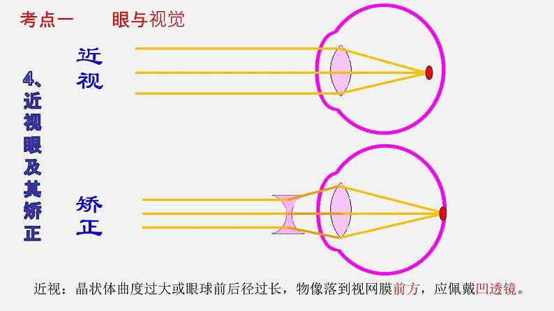 专题14 人体生命活动的调节（课件）-2022年中考生物一轮复习讲练测08